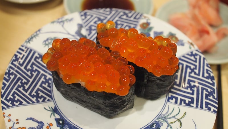 Sushi Japanese Food
